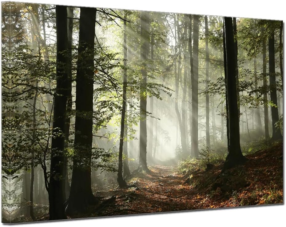 Forest Canvas Wall Art Trees Foggy Morning Spring Rustic Landscape for Bedroom Bathroom Decorations Modern Artwork Print Framed Painting Living Room Home Office Wall Décor 12x16inch