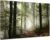 Forest Canvas Wall Art Trees Foggy Morning Spring Rustic Landscape for Bedroom Bathroom Decorations Modern Artwork Print Framed Painting Living Room Home Office Wall Décor 12x16inch