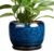 SQOWL Ceramic Planter 8 Inch – Pot for Indoor Outdoor Plants Round Ceramic Plant Pot with Drainage Hole and Saucer Modern Flower Pot Glazed Blue