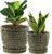 Plant Pots, Flower Pots, Planters for Indoor Plants(6.5+5.5inch), Flower Pots for Indoor Plant with Drainage Hole and Saucer, Ceramic Pots for Plants with Hole Mesh Pad,Reactive Glaze Green